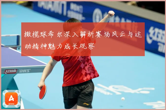 橄榄球希尔深入解析赛场风云与运动精神魅力成长观察