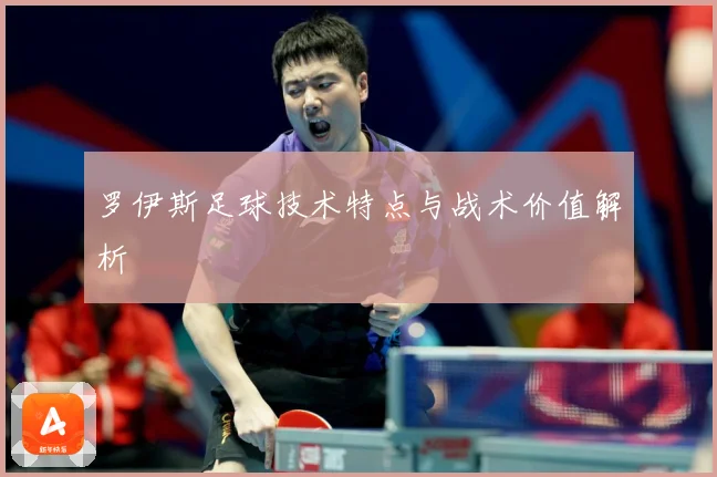 罗伊斯足球技术特点与战术价值解析
