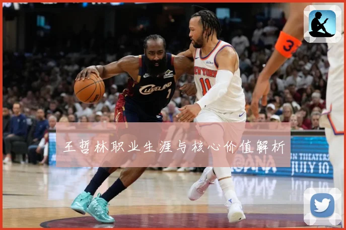 王哲林职业生涯与核心价值解析