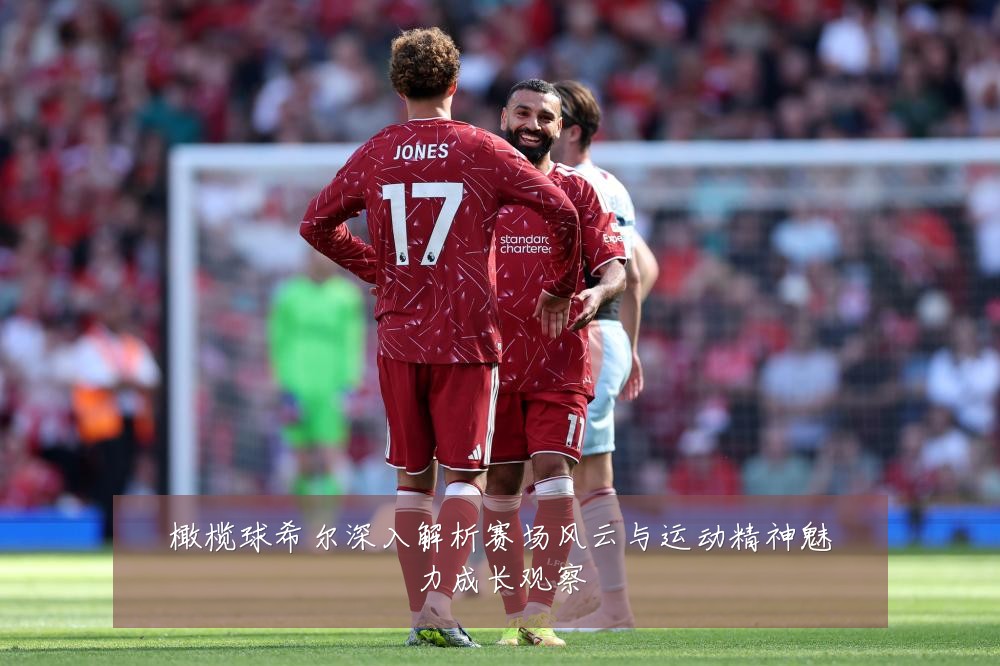 橄榄球希尔深入解析赛场风云与运动精神魅力成长观察